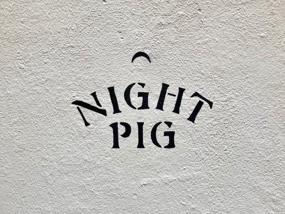 night pig